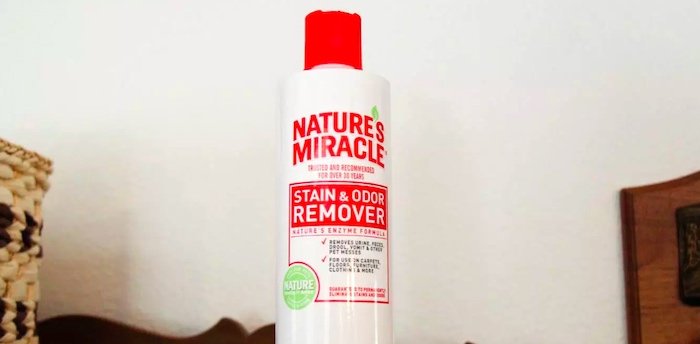 urine enzyme cleaner