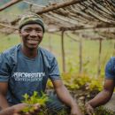One Tree Planted in Rwanda