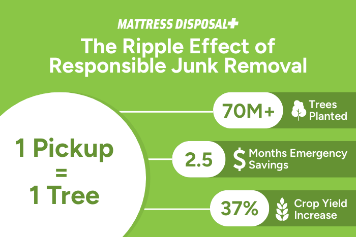 Responsible furniture, mattress, and junk disposal services ripples out into planetary benefit through Mattress Disposal Plus' partnership with Plant with Purpose