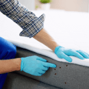 It is important to know the signs of a bed bug infestation in your mattress
